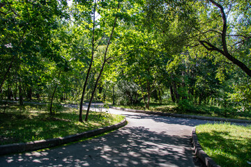 Fototapeta na wymiar Scenic view of a winding stone path through a beautiful green park