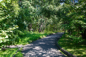 Scenic view of a winding stone path through a beautiful green park