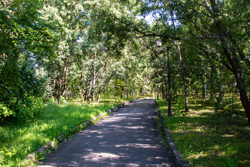 Fototapeta na wymiar Scenic view of a winding stone path through a beautiful green park