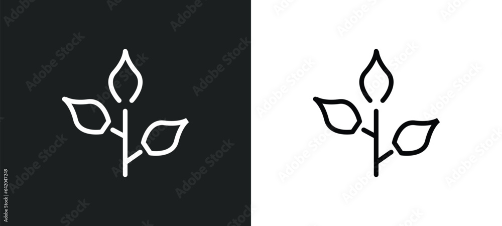 Poster branch icon isolated in white and black colors. branch outline vector icon from nature collection fo