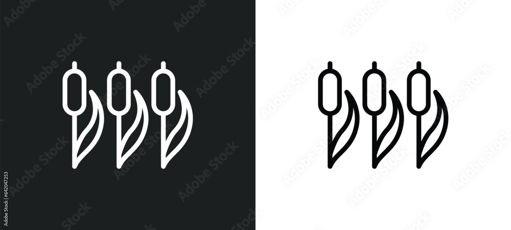 Poster reed icon isolated in white and black colors. reed outline vector icon from nature collection for we