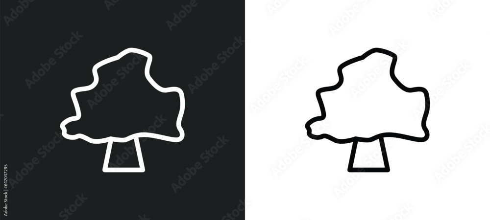 Poster birch icon isolated in white and black colors. birch outline vector icon from nature collection for 
