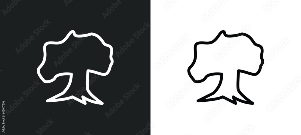 Poster beech icon isolated in white and black colors. beech outline vector icon from nature collection for 