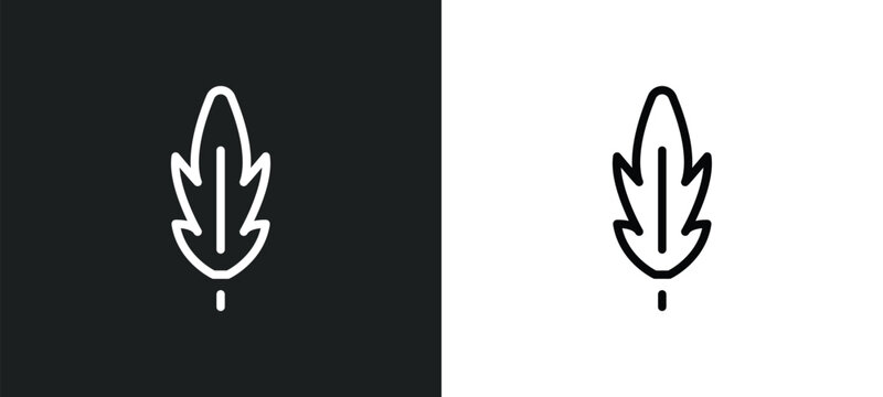 acicular icon isolated in white and black colors. acicular outline vector icon from nature collection for web, mobile apps and ui.