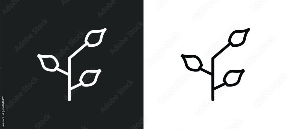Poster pinnate icon isolated in white and black colors. pinnate outline vector icon from nature collection 
