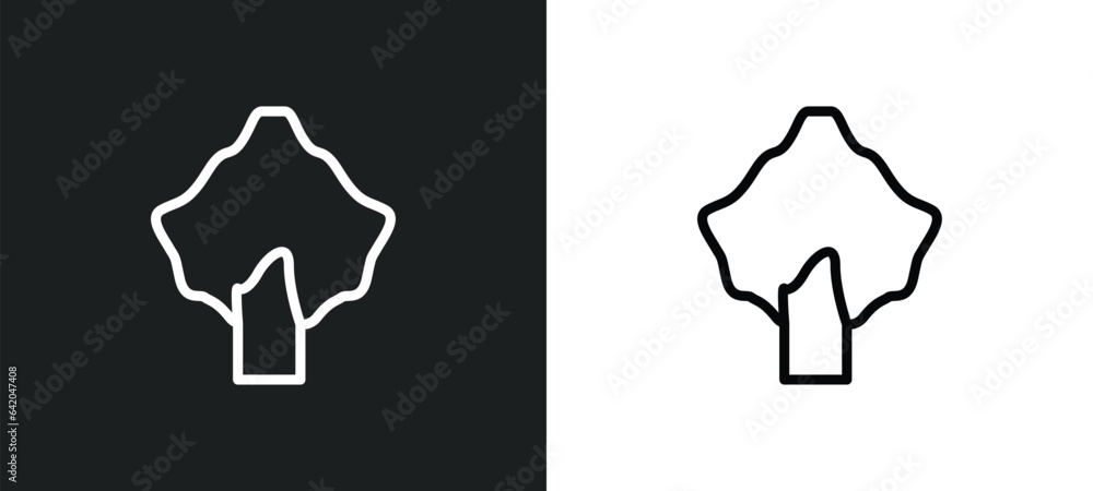 Poster poplar icon isolated in white and black colors. poplar outline vector icon from nature collection fo