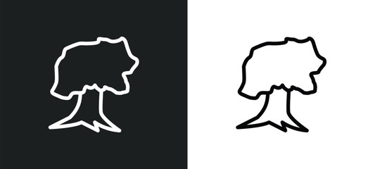 willow icon isolated in white and black colors. willow outline vector icon from nature collection for web, mobile apps and ui.