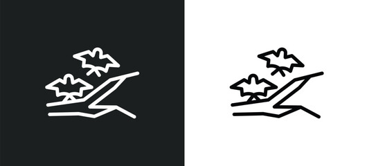 branch bat icon isolated in white and black colors. branch bat outline vector icon from other collection for web, mobile apps and ui.