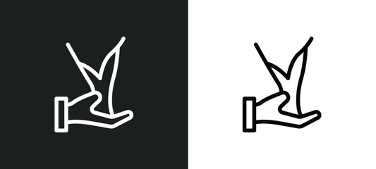 tree of life icon isolated in white and black colors. tree of life outline vector icon from religion collection for web, mobile apps and ui.