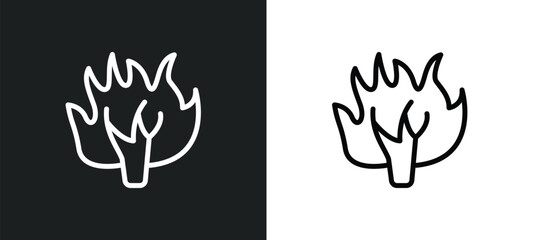 burning bush icon isolated in white and black colors. burning bush outline vector icon from religion collection for web, mobile apps and ui.