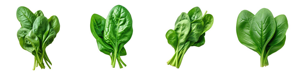 Spinach with clipping path on a transparent background