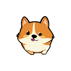 corgi dog