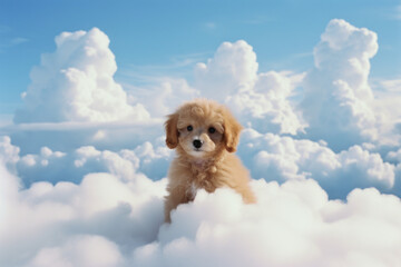 illustration of a dog pet animal in a natural landscape setting surrounded by clouds and blue sky representing pet loss and grief rainbow bridge - generative ai art