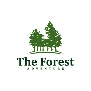 Forest logo design Template. Creative Pine logo vector illustration.