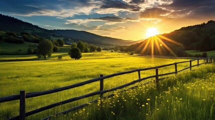 Sunrise against the backdrop of a field with grass