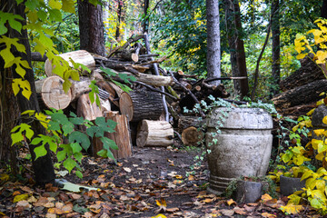 firewood and a stone vase in an autumn garden