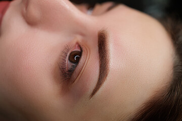 Eyebrows permanent makeup with shading photo after the procedure. Eyebrow permanent makeup cosmetic procedure. - obrazy, fototapety, plakaty