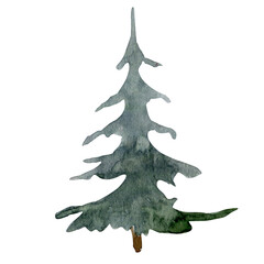 Watercolor green christmas tree isolated on white background. Isolated hand drawn illustration of a blue spruce for Christmas cards, invitations