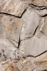 Stone background. Bumpy stone surface. A fragment of an old wall with the shadow of a plant on it. - 642069049