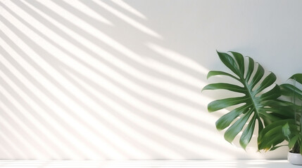 minimalistic interior design with a tropical plant in a bag on the background of a white wall illuminated by the rays of the sun, legal AI