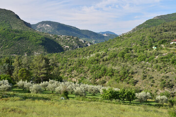 Fototapeta na wymiar Gorges de Saint-May, vue depuis Villeperdrix