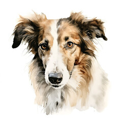 Borzoi Russian sighthound. Stylized watercolour digital illustration of a cute dog with big eyes.