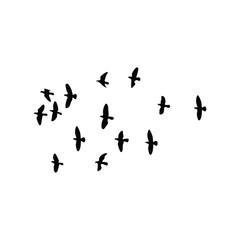 Flocks of free birds are soaring in the sky, vector silhouette.