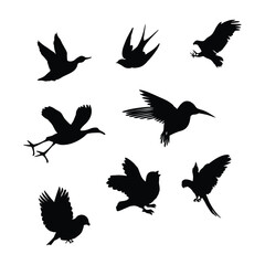 Obraz premium Birds fly freely silhouette design.