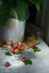 Ripe red gooseberries in a vintage vase. Vintage rustic rustic concept