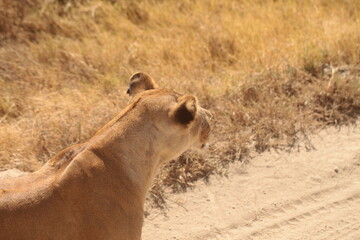 Nel cuore dell'Africa