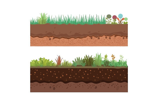 Soil or underground layers, grassy ground and ear. Vector illustration design.