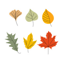 Fall. Autumn. Set with leaves of trees, set of leaves of aspen, maple, ginkgo, poplar, acorn, oak trees. Vector illustration. Isolated object for advertising, printing, banners, web
