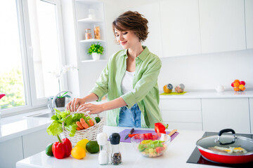 Photo of gorgeous positive lady enjoy making food frying pan stove fresh vegetables basket bright modern house indoors