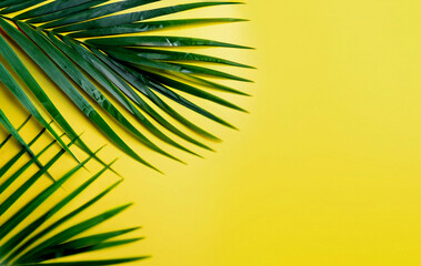 Photo green palm leaves on yellow background with copy space for text