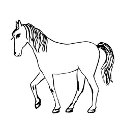 Simple black outline vector drawing. Horse in full growth, side view. Ranch, farm animals, barnyard. Sketch in ink.
