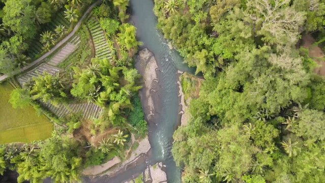 Overhead drone shot of tropical rocky river with turqoise water surrounded by green trees and plantation. Aerial view of riverbank in Indonesia. Top down view - Elo River, Indonesia