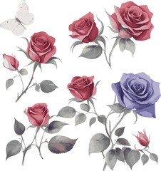 Vector set of watercolor roses on a transparent background
