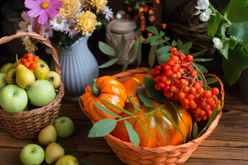 Autumn still life with pumpkin. Flowers and apple harvest in a wicker basket, orange ripe pumpkins on the table