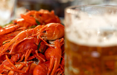 boiled red crayfish in plate or on top on beer mug. summertime tasty snack food. one crayfish...