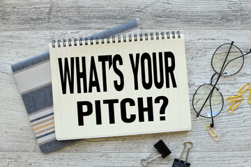 What's Your Pitch view from above. diary page. words