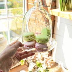 confectioner cakes desserts sweet yellow green pastries cupcakes berries hands confectionery green red macaron