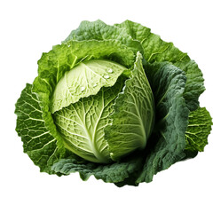 Obraz premium head of cabbage overhead view flat lay. cabbage png. cabbage isolated