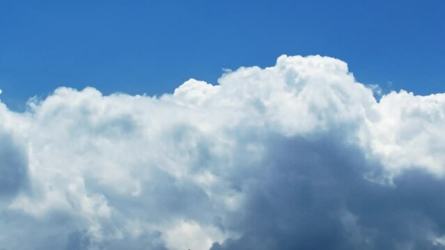タイムラプス　青空に湧き上がる入道雲