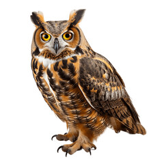 Naklejka premium great horned owl png. great horned owl isolated. owl. bird
