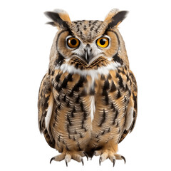 Obraz premium great horned owl png. great horned owl isolated. owl. bird. eurasian eagle owl 