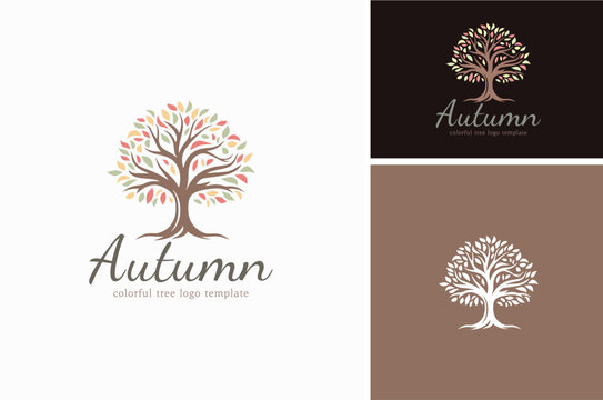 Old Tree Branches Leaves of Oak Maple with Fall Autumn Colors Silhouette logo design