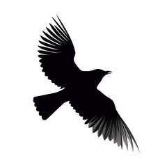 Black bird silhouette isolated on white background. Flying bird. Vector illustration