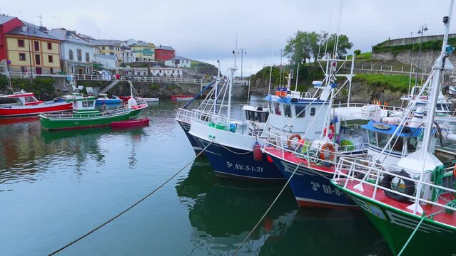 Fishing boats in the fishing port of Puerto de Vega. Navia Council. Asturias. Cantabrian Sea. Spain. Europe