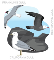 Cute Bird Gull Seagull California Set Cartoon Vector