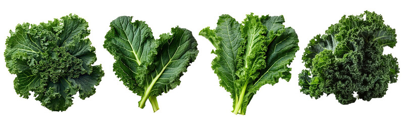 Set of Kale leaves illustration isolated on white transparent background, PNG , Generative AI